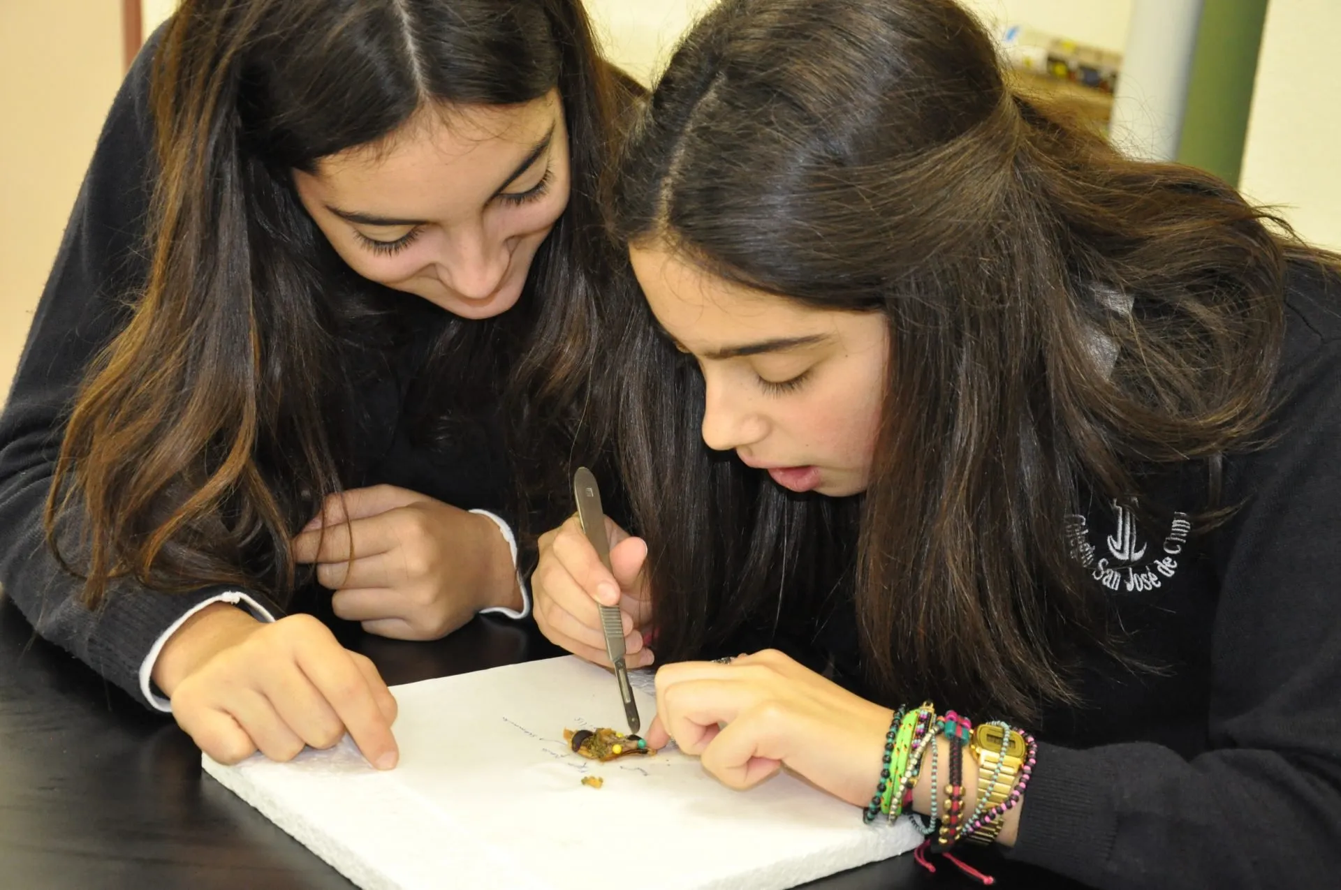 Dos alumnas trabajando juntas en el laboratorio